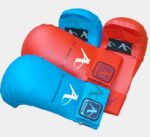 Arawaza- Protective Equipment- Sparring Gloves
